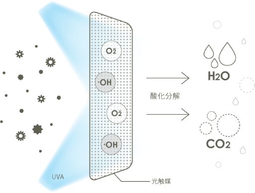 光触媒の酸化作用による不活性化・分解