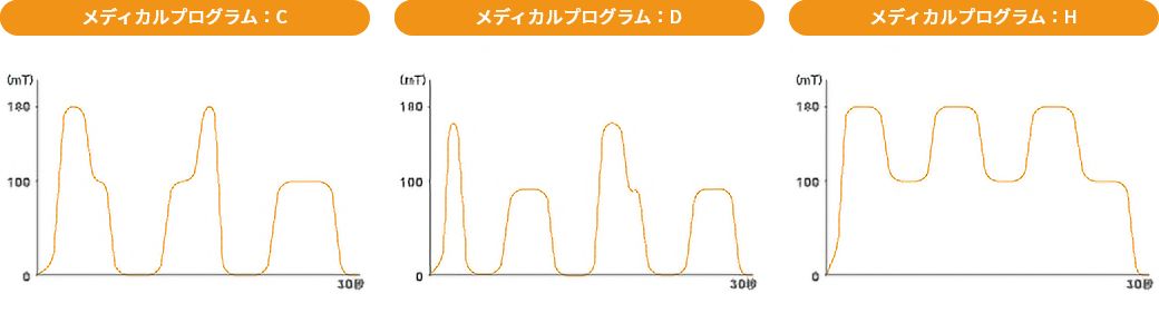 マグネフィットのメディカルプログラムパターン図