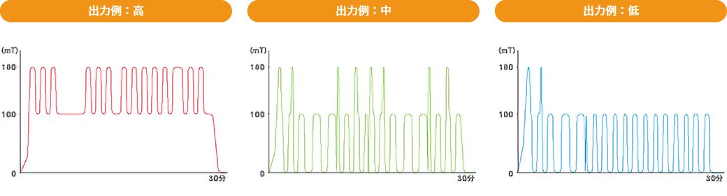 マグネフィットのメディカルプログラムパターン図