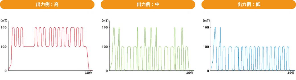 マグネフィットのメディカルプログラムパターン図